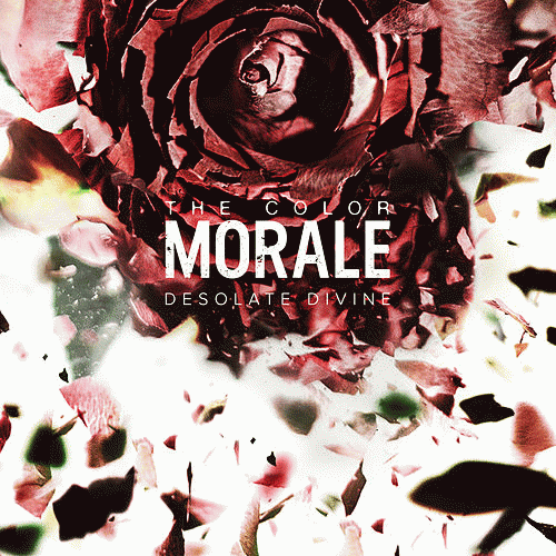 The Color Morale : Desolate Divine